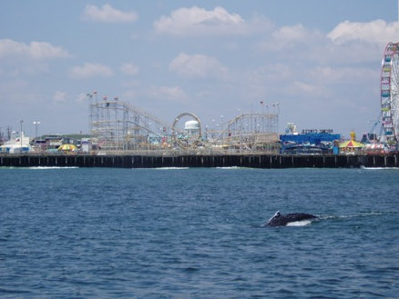 architectural_offshore_hard_copy_02_25_10024004.jpg