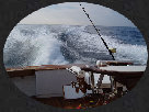 architectural_offshore_hard_copy_02_25_10078005.jpg
